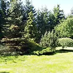 Druzno *