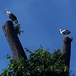 Hébergement de vacances Druzno