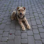Druzno Hébergement de vacances