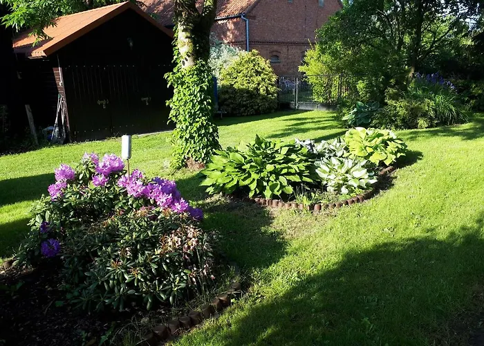 Dom wakacyjny Drużno