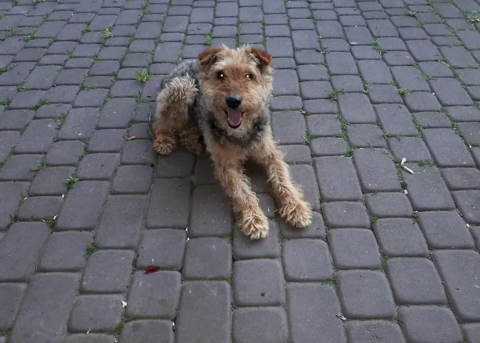 Drużno Dom wakacyjny